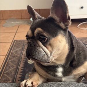 Meet your Posher, Michael